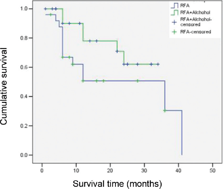 Kaplan-Meier curve showing no significant difference in the survival in the patients in the two groups (P=0.131).